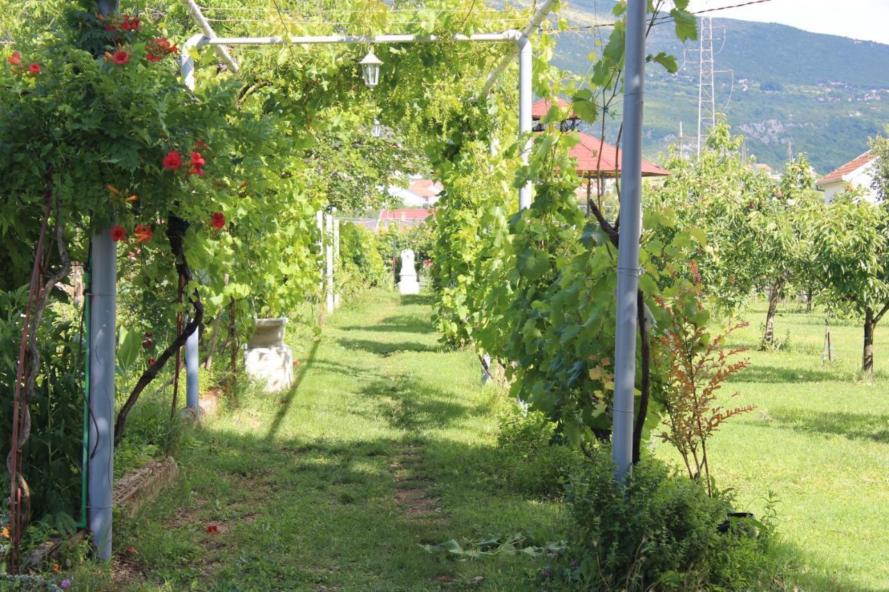 Casa Botanica Villa Blagaj Exterior photo
